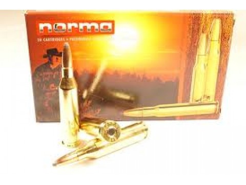 9,3x62 Norma PPDC/285Gr 